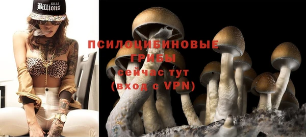 круглые Алексеевка