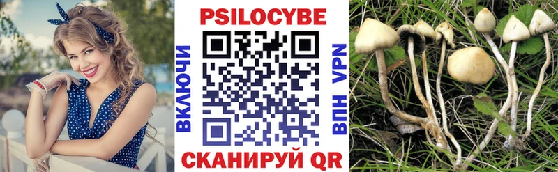 закладка  Зарайск  Псилоцибиновые грибы ЛСД 